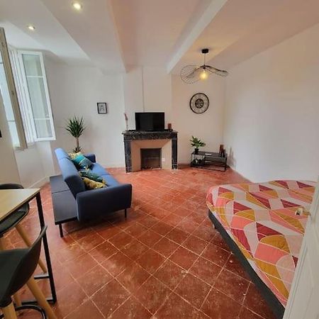 Appartement De Charme Avec Tomettes Et Parquet Graulhet Dış mekan fotoğraf