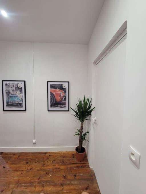 Appartement De Charme Avec Tomettes Et Parquet Graulhet Dış mekan fotoğraf